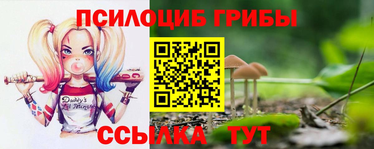 Галлюциногенные грибы Cubensis  Вход с VPN  Галлюциногенные грибы мухоморы  Октябрьский 